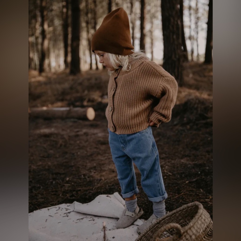 The simple folk perfect jean